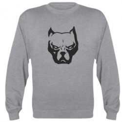 Світшоти унісекс