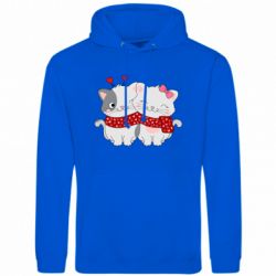 Худі чоловічі