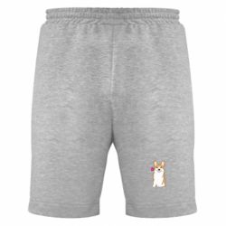 Мужские шорты