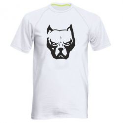 Чоловічі спортивні футболки