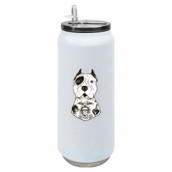 Термобанки 500ml