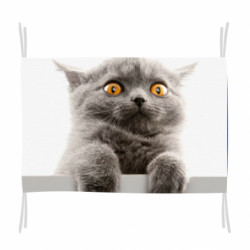 Флаг Original gray cat - FATLINE Флаг Original gray cat