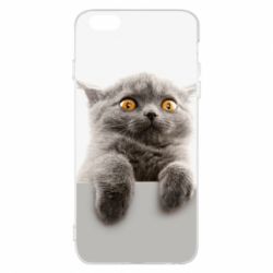 Apple iPhone 6 Plus/6S Plus