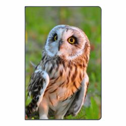 Блокнот А5 Owl on green field