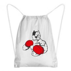 Рюкзаки-мешки