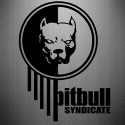 Автомобильные наклейки - FATLINE