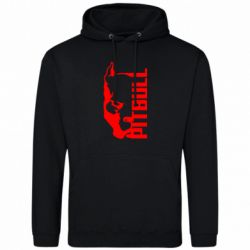 Худі чоловічі