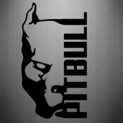 Автомобільні наклейки - FATLINE