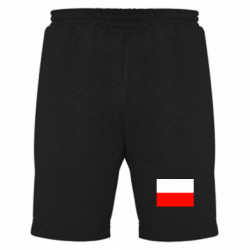 Мужские шорты