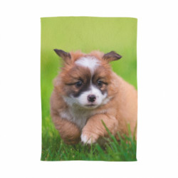 Рушник Puppy dog - FATLINE Рушник Puppy dog