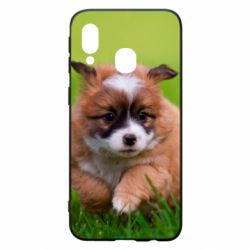 Чехол из раздела Собака Puppy dog для Samsung A40 - FATLINE Чехол из раздела Собака Puppy dog для Samsung A40