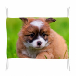 Флаг Puppy dog - FATLINE Флаг Puppy dog