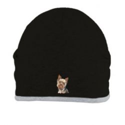 Шапка Yorkshire Terrier - FATLINE Шапка Yorkshire Terrier