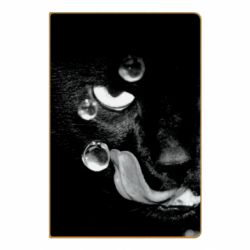 Блокноты - FATLINE