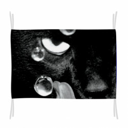 Флаг The cat licked - FATLINE Флаг The cat licked