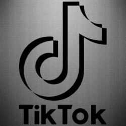 Автомобильные наклейки - FATLINE