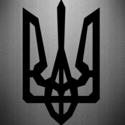 Автомобільні наклейки - FATLINE