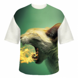 3D футболки оверсайз