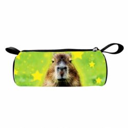 3D пенал Капибара  и звезды