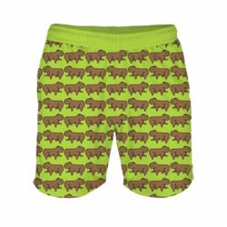 3D шорти для плавання дитячі