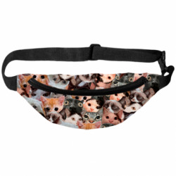 3D сумка-бананка Favorite Meme Cats - FATLINE 3D сумка-бананка Favorite Meme Cats