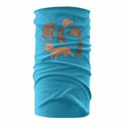 Бандана-труба - FATLINE