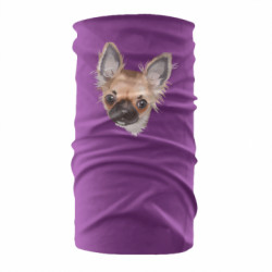 Бандана-труба - FATLINE