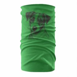 Бандана-труба Джек-рассел-терьер - FATLINE Бандана-труба Джек-рассел-терьер