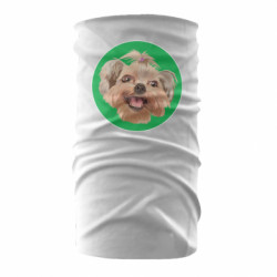 Бандана-труба - FATLINE