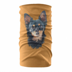 Бандана-труба - FATLINE