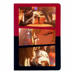 Блокноты двухцветные