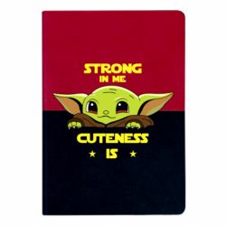 Блокноти двоколірні