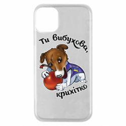 Apple iPhone 11 Pro