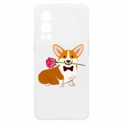 OnePlus Nord2 5G