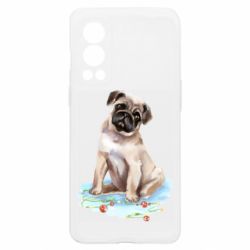 OnePlus Nord2 5G