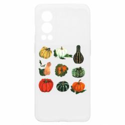 OnePlus Nord2 5G
