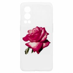 OnePlus Nord2 5G
