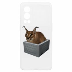 OnePlus Nord2 5G