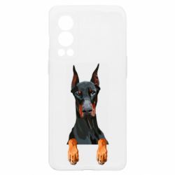 OnePlus Nord2 5G