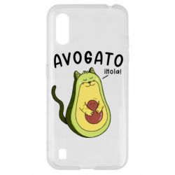 Samsung A01/M01