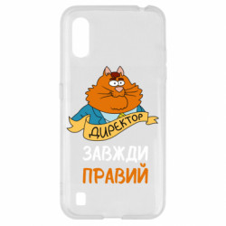 Samsung A01/M01