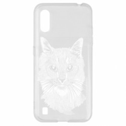 Samsung A01/M01
