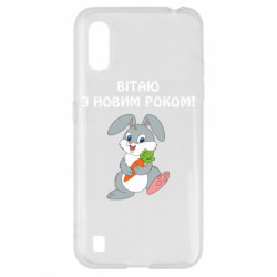 Samsung A01/M01
