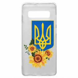 Samsung S10+
