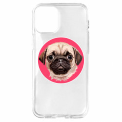 Apple iPhone 12 mini