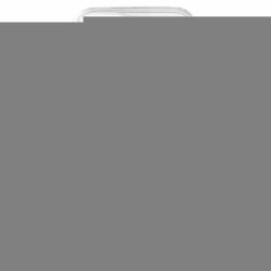 Apple iPhone 12 mini