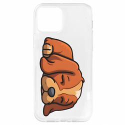 Apple iPhone 12 Pro