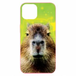 Чехол из раздела Капибара Капибара  и звезды для Apple iPhone 13