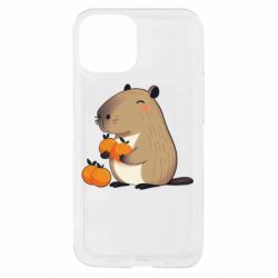 Apple iPhone 13 mini