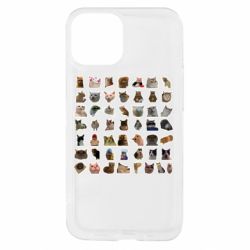 Apple iPhone 13 mini